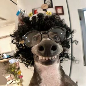 消失的壹世的头像
