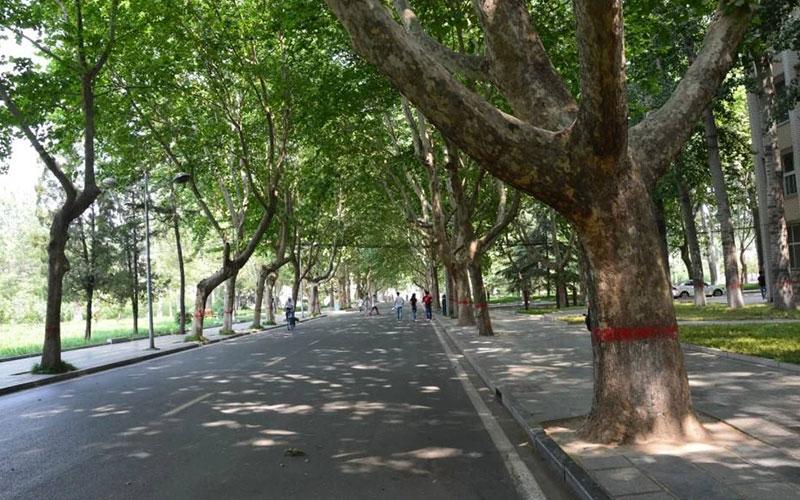 河北工程大学 校园图集预览 2