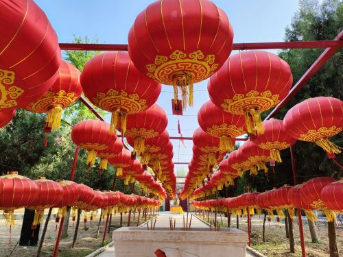 杏林寺 - 景点/周边游热度榜第4名