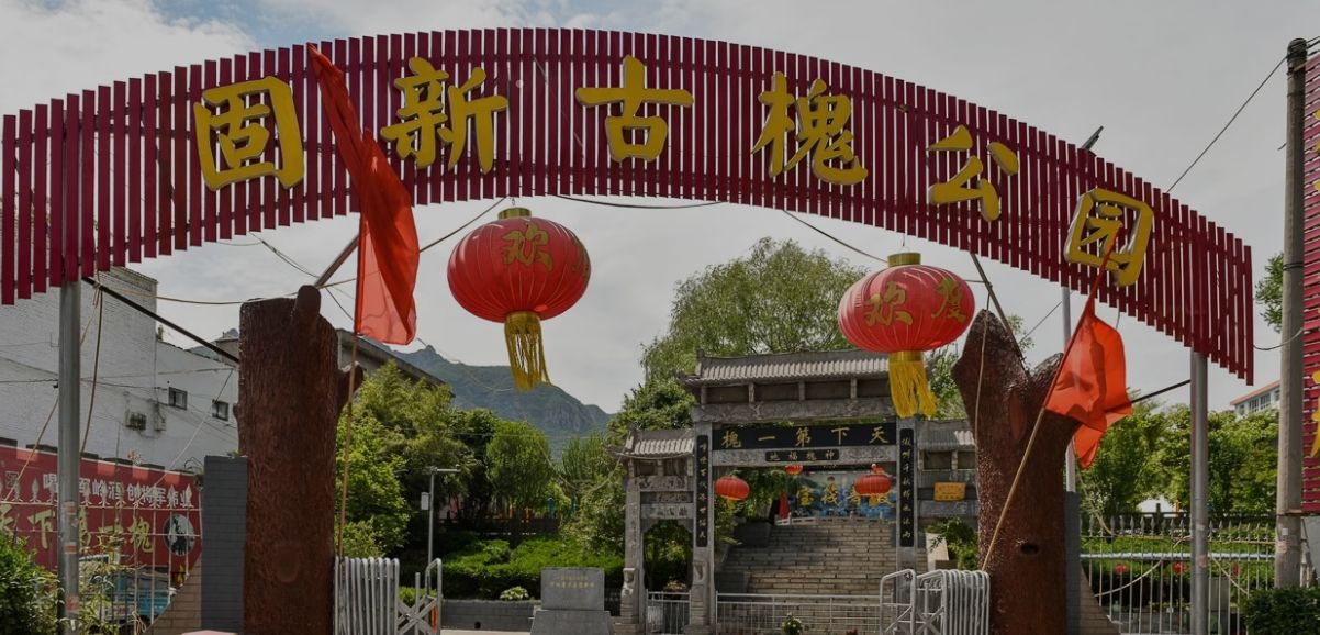 固新古槐公园 景点封面图