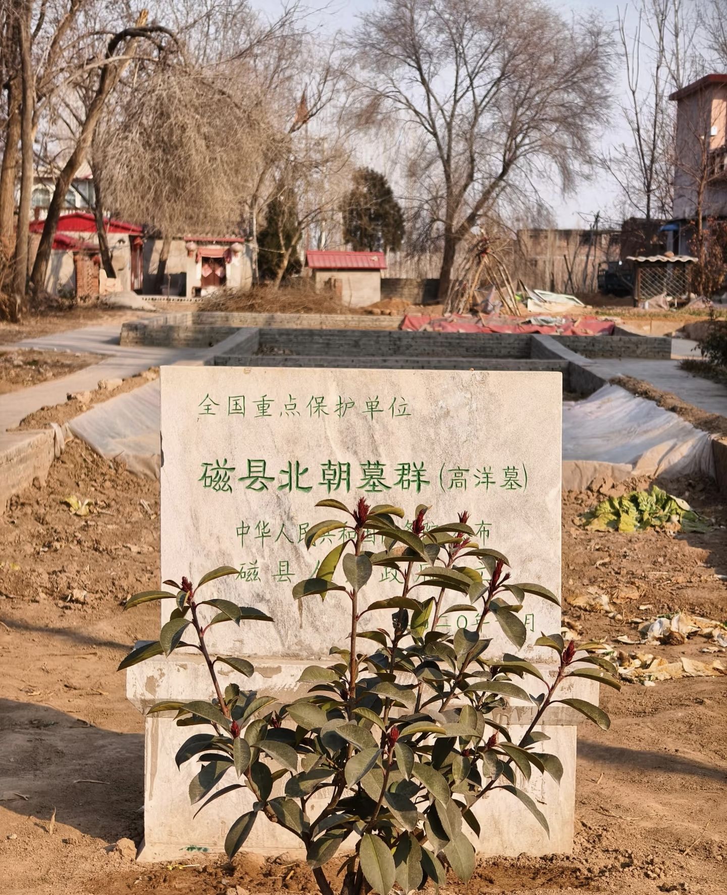 高洋墓 景点封面图