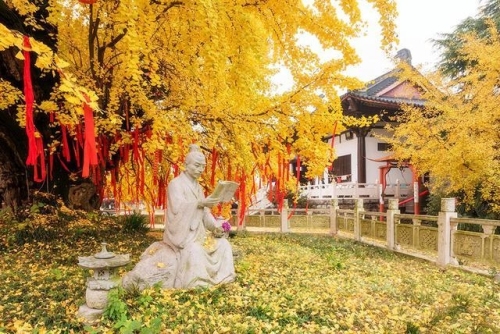银杏堂 景点主图