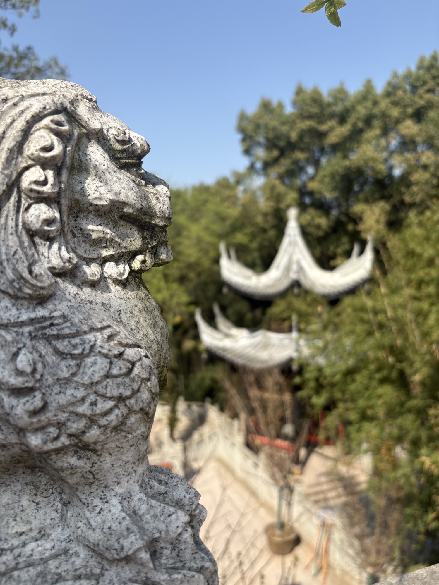 罗汉寺-观音殿 - 名胜古迹热门榜第6名