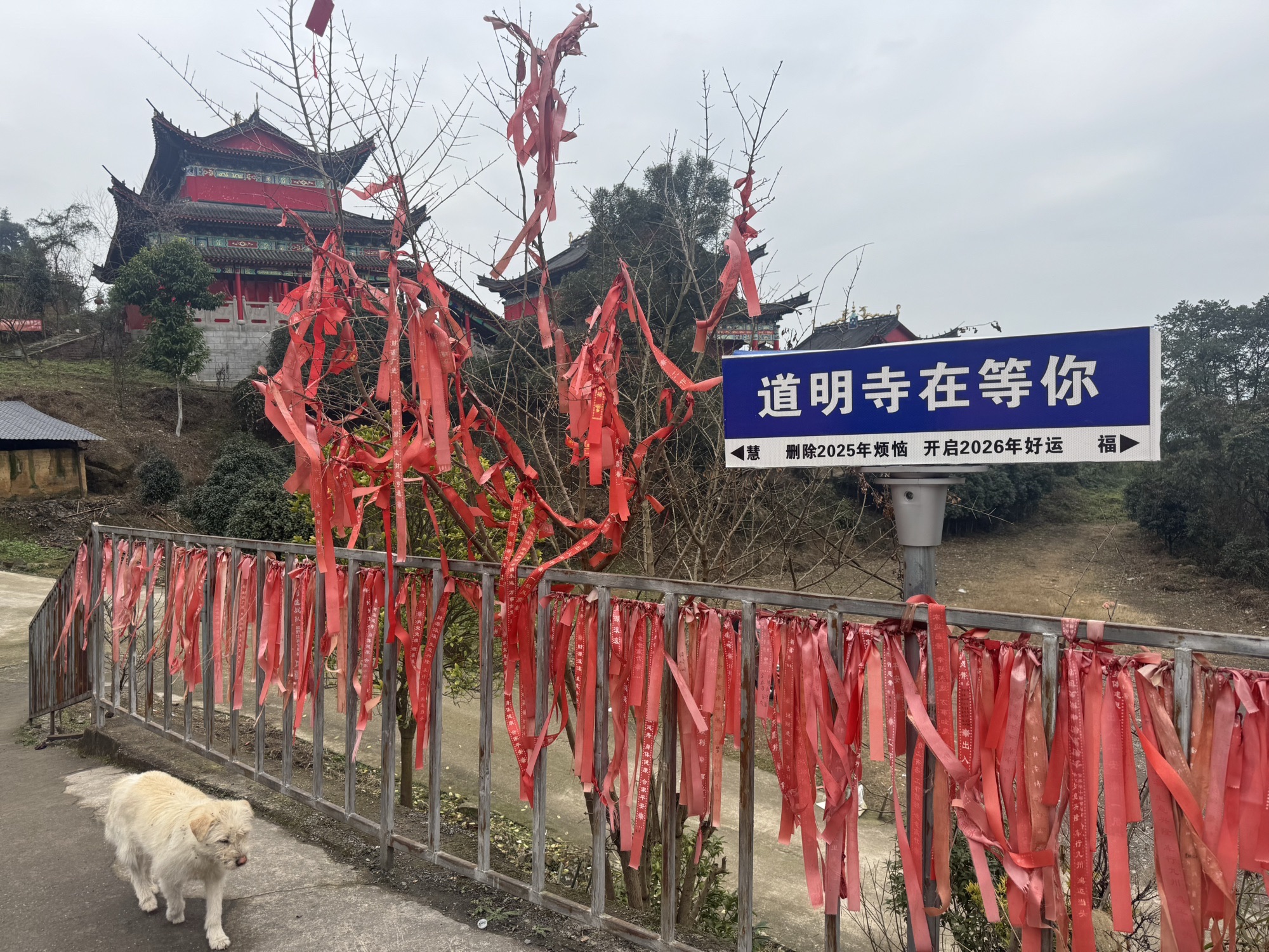 道明寺 - 景点/周边游热度榜第7名