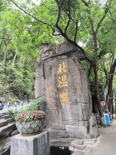 重庆市北碚区温泉寺 - 景点/周边游热度榜第1名