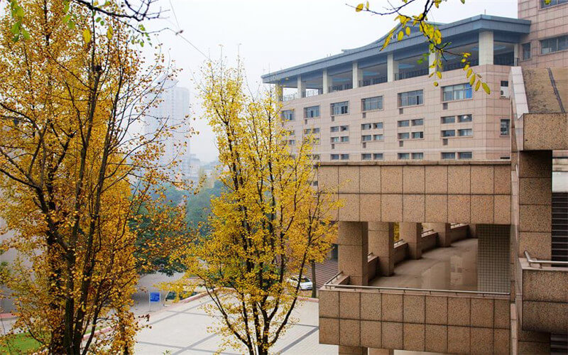 重庆医科大学莱斯特大学联合学院 学校主图