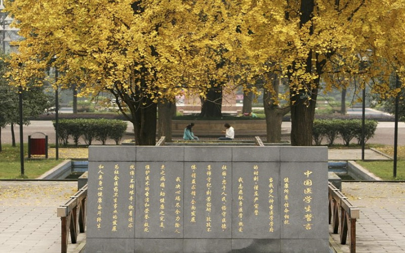 重庆医科大学莱斯特大学联合学院 校园图集预览 3